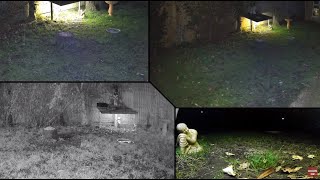 Day time Bird feeder / Night time Badgers and Foxes feeding Colour Cam (Multiview)