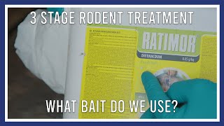 3 stage rodent treatment: what bait do we use?