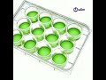 Key Considerations for Using Collagen-Coated Plates
