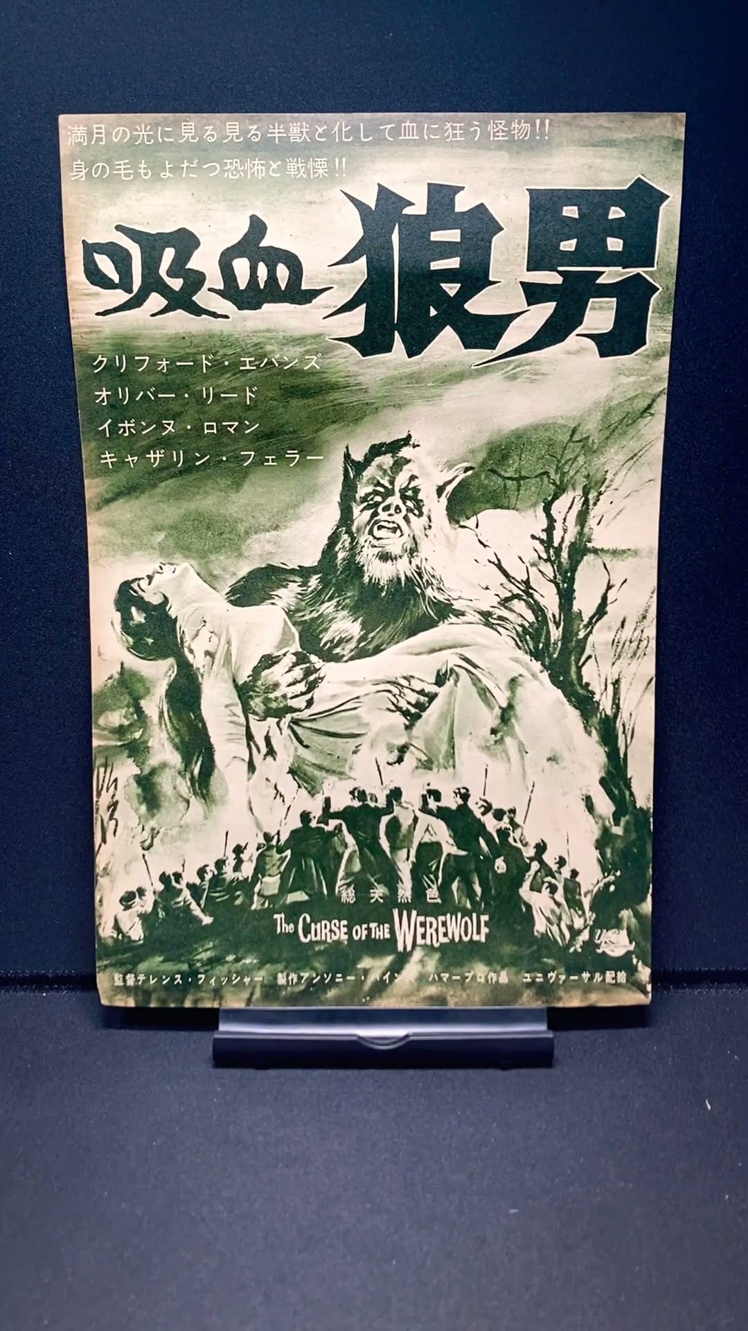 1961年公開　当時の新聞切抜き 吸血狼男　新宿劇場　他 吸血狼男（The Curse of the Werewolf）1961年 ハマープロ テレンス