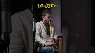 Ney Ile Sevilen Şarkılar