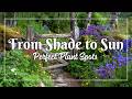 Decoding French Garden Styles: Provence vs. French Provincial Explained