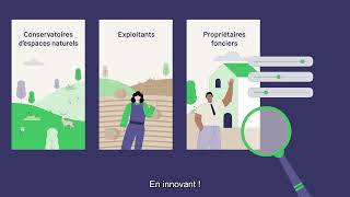 Motion Design - Compensea Resimi