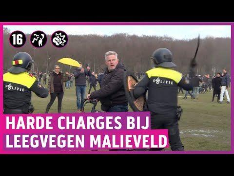 Schoten, politiepaarden en waterkanon bij protest Malieveld