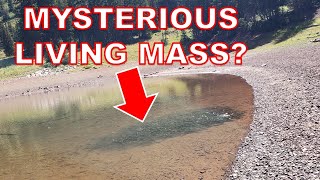 MYSTERY Found in Mountain Lake by JoyAndFun 174 views 1 year ago 3 minutes, 33 seconds