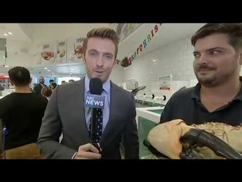 Mark Reddie ABC News Breakfast