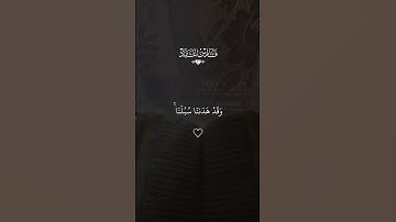 #قران #فارس_عباد  #quran #قران_كريم #تلاوة_خاشعة #alaa_mustafa_1