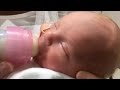 Dr  Brown's Medical Webinar - Pacing the Bottle Fed Infant: The Why's - (Ferrara)
