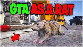 A day in the life of a RAT in GTA 5 RP