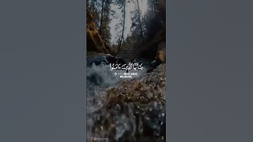 صلوا على رسول الله/ سورة الاحزاب//ثواني مع القرآن راحة لقلبك راحة نفسية/إن الله وملائكته
