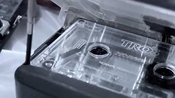 Tape Loops and Ambient Musical Creations 2