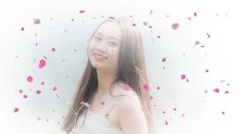 hiệu ứng cánh hoa rơi đẹp số 08