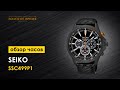 Часы наручные мужские Seiko CS Sports SSC499P1