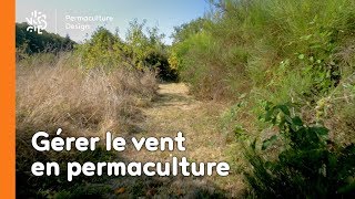 La minute permaculture #13 : Gérer le vent en permaculture