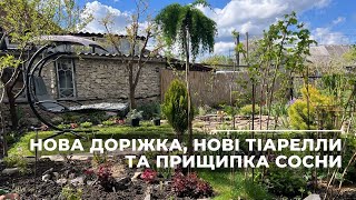 Нова доріжка, нові тіарелли та прищипка сосни