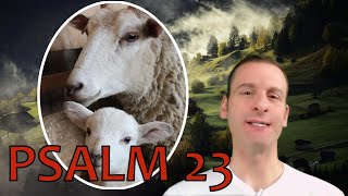 Psalm Chapter 23 Summary and What God Wants From Us
