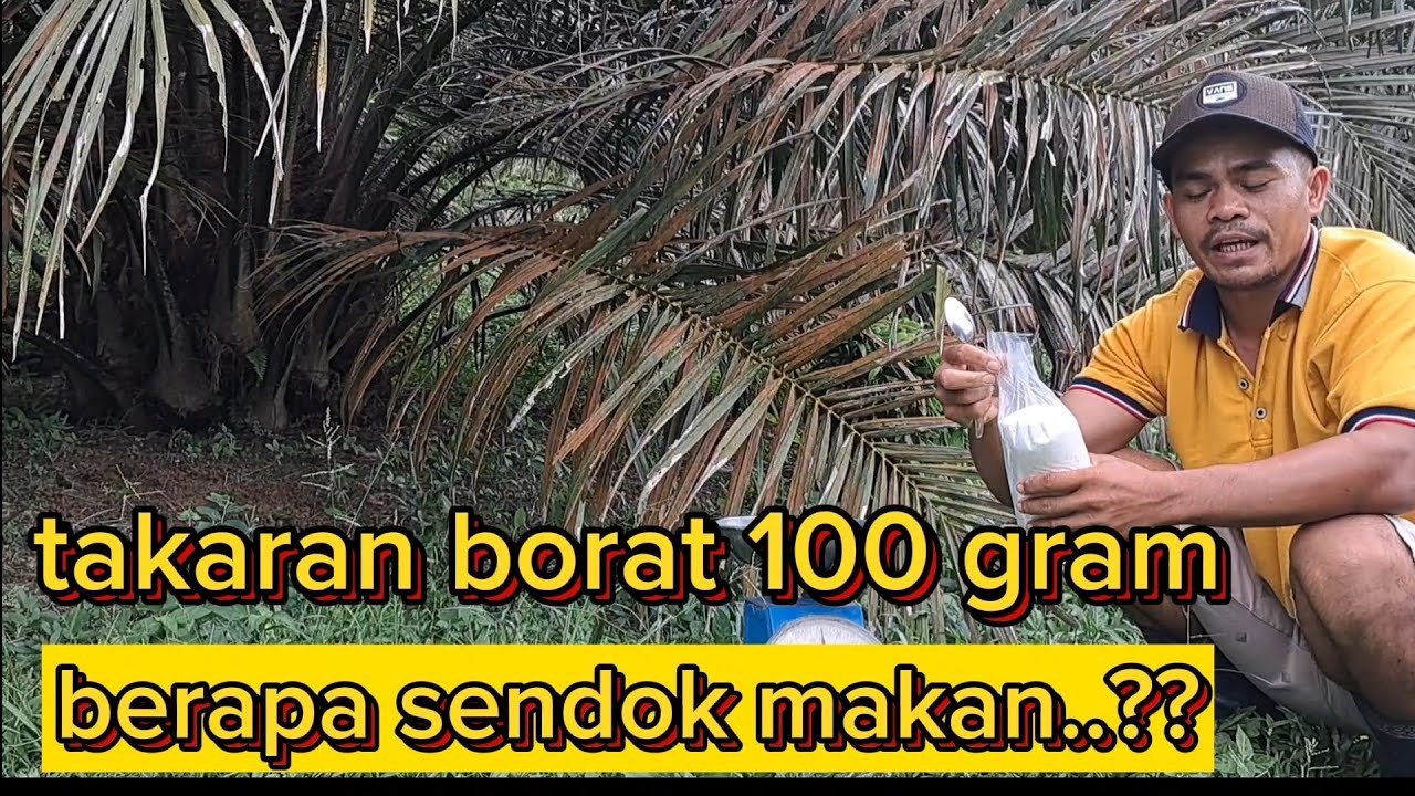 borat 100 gram itu berapa sendok makan..🤔🤔🤔