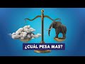 7 Preguntas simples que no sabias la respuesta!