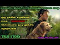     hollywood movies in tamil  tamil dubbed movies  dubz tamizh