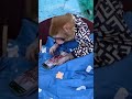 Обезьяны приколы