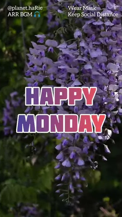 HAPPY MONDAY - WhatsApp Status, Facebook Story, Instagram Story
