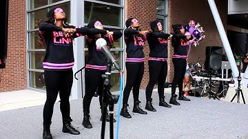 Sigma Lambda Gamma UNF Spring 2014 Probate