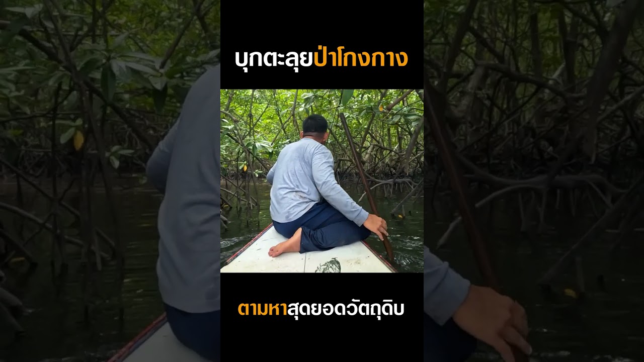 บุกตะลุยป่าโกงกาง ตามหาสุดยอดวัตถุดิบแห่งท้องทะเล!!!! #djpoom #ดีเจภูมิ #คนหัวครัว