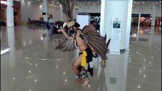 Pemuda Ini Membawa Tarian Burung 🐦 Berbulu Indah Khas Kalimantan || #BurungEnggang #borneosafari