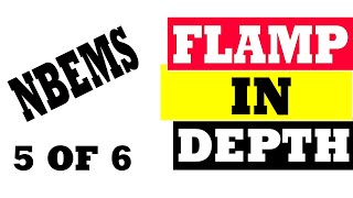 FLAMP in Depth :: NBEMS 5 of 6