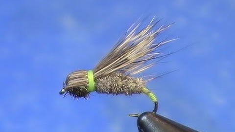Fly Tying: Bullethead Caddisfly