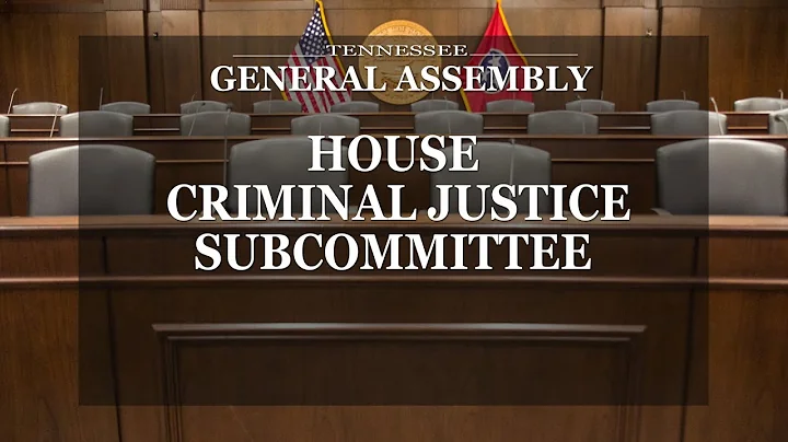 House Criminal Justice Subcommittee 2 - March 31, 2021 - House Hearing Room 2