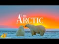 The arctic 4k u relaxing piano music along with beautiful natures  4k relaxation film