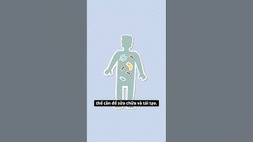 "Thức khuya nhưng vẫn khỏe – có thật không?" #SkillEase #talkshow #shorts