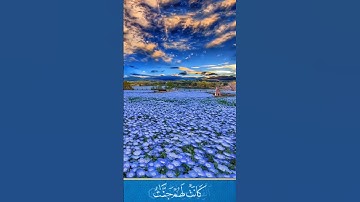 ماتيسر من سورة الكهف/اكتب شيء تؤجر عليه