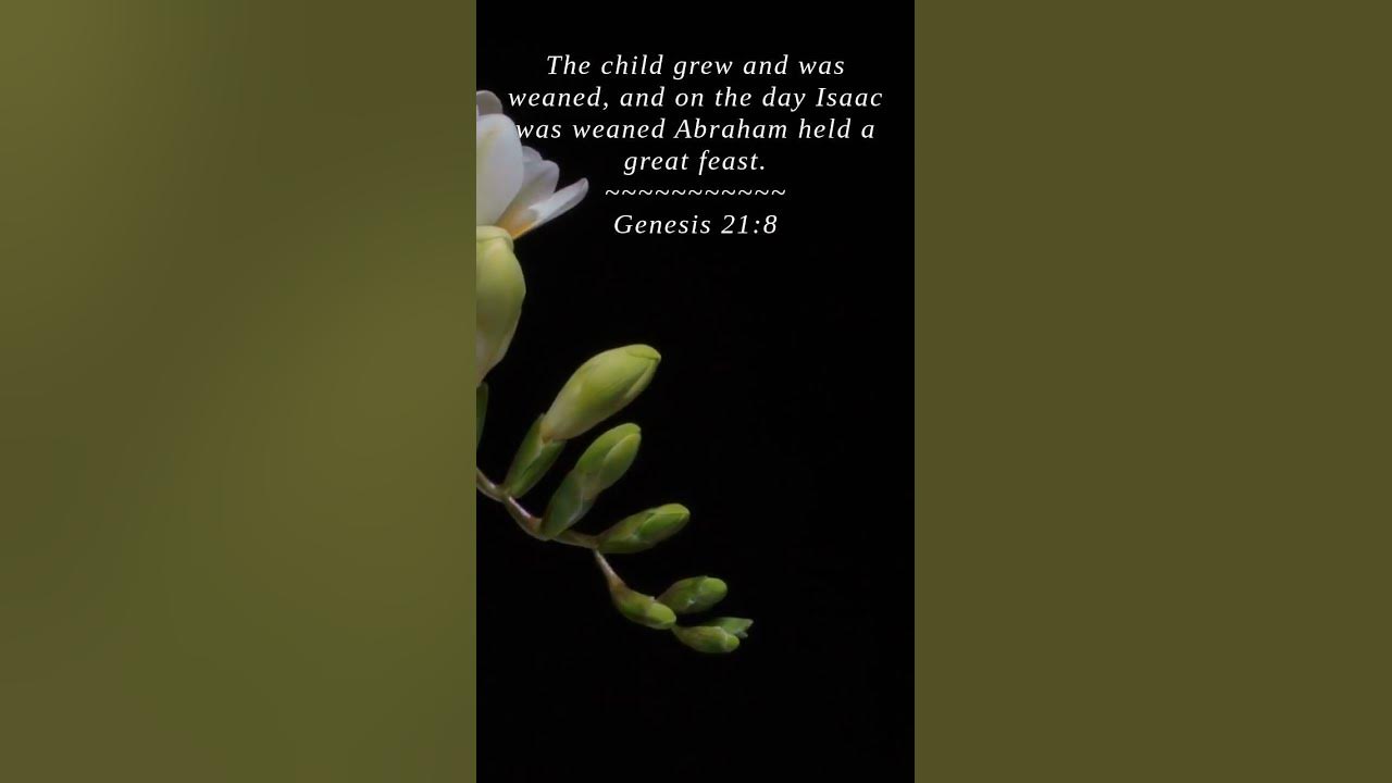Bible Genesis 218 The child grew and was weaned YouTube