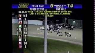 1997 Scioto Downs SWEET IRIS Dave Hawk