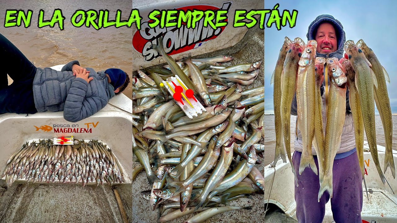 TV Nº696 04-07-2025 La orilla siempre paga