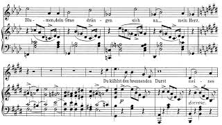 Ganymed(Schubert)가곡반주 Piano Accompaniment