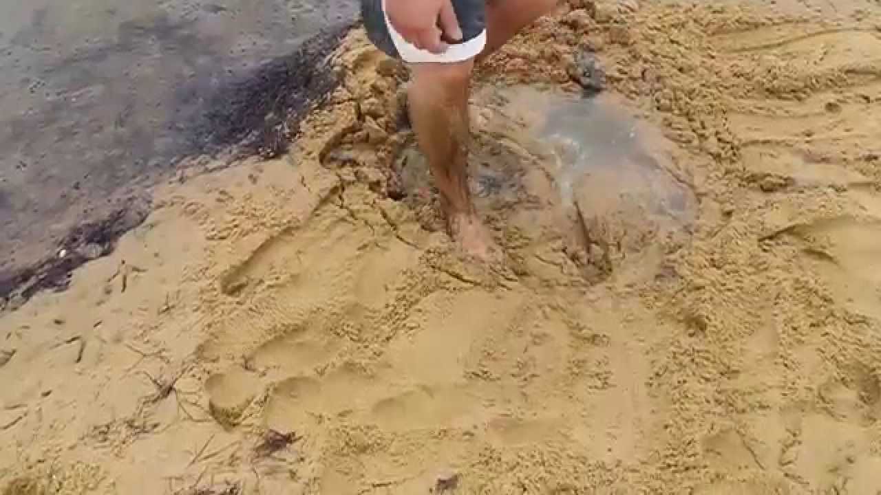 Is quicksand real?