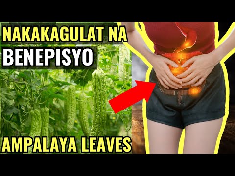 Dahon ng Ampalaya: