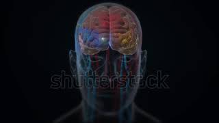 Flying inside Artificial Intelligence Digital Brain bid Data. chamical reachashan