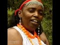 Halloo Daawwee Beenu Shirshirii Ethiopian Oromo Music Mp4 2025 Halloo Daawwee Beenu Shirshirii Ethiopian Oromo Music Mp4 2025