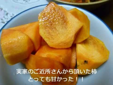 今日の晩ご飯 2013年11月5日