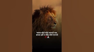 lion status devayat khavad status jordar attitude status #viral  gujrati status love #trending #king
