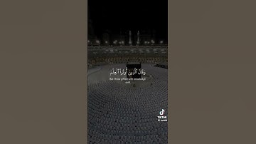 تلاوة هادئة تريح الأعصاب😴🎧 القارئ: سعود الشريم سورة: القصص 💙❤