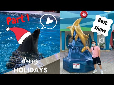 Dubai Dolphinarium 2020 | Part 1 | Exciting show | Vlog #18