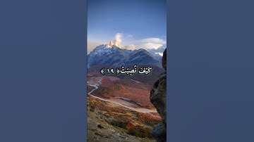 سورة الغاشية _القران الكريم