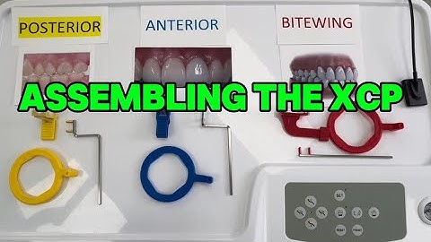 Dental X-Rays: Assembling the XCP