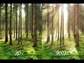 Эффект солнечных лучей в фотошопе / The effect of sunlight in Adobe Photoshop CS5