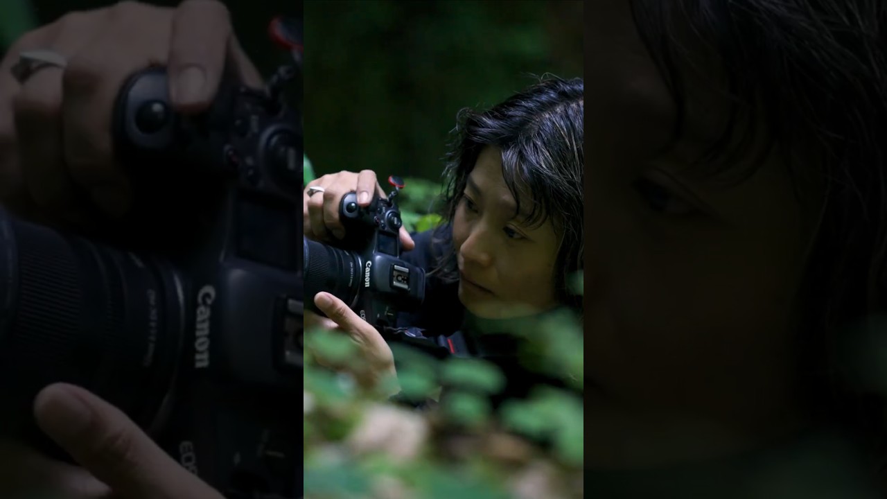 🎥 Sigma 12mm F1.4 DC | Contemporary Lens - Behind the Scenes #sigma #photography #cameralenses — Video review, click xem trên YouTube